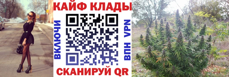 Купить наркотик аптеки Александровск-Сахалинский A-PVP  Марихуана  Меф мяу мяу  Гашиш  kraken вход  Кокаин  Галлюциногенные грибы 