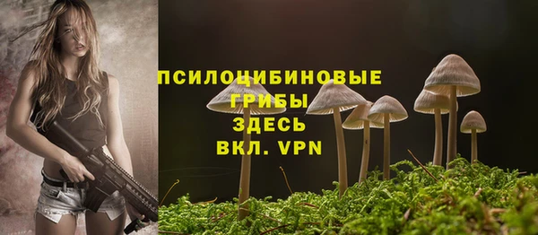 гашиш Новозыбков