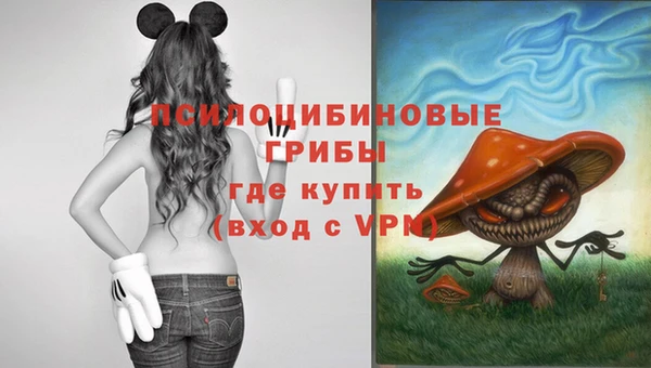 спиды Абинск
